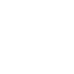 icon software